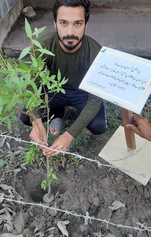 BTL Planting Tree 1