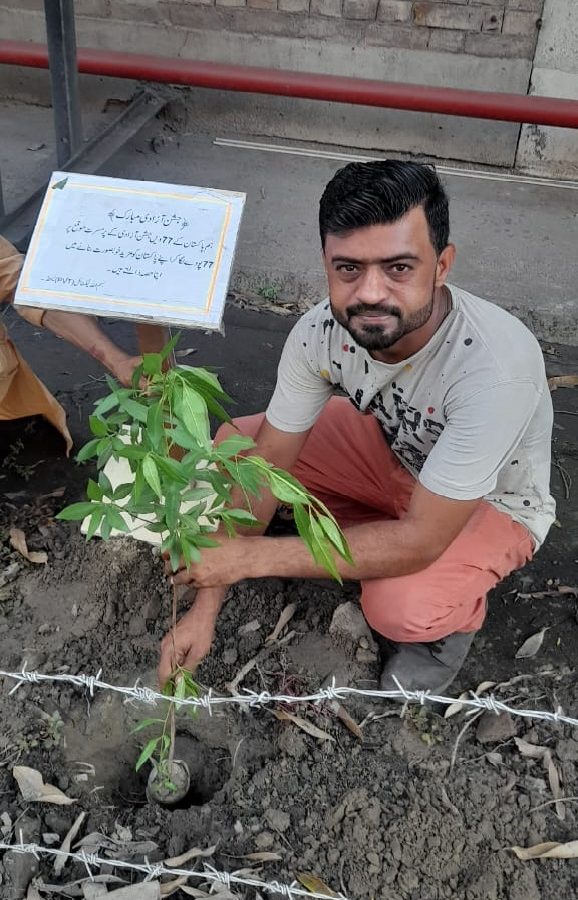 BTL Planting Tree 2