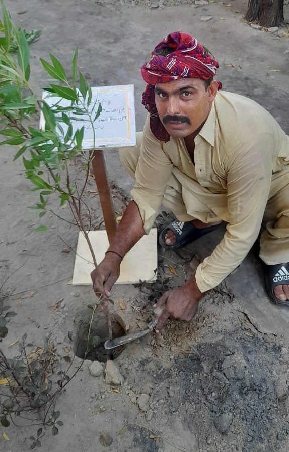 BTL Planting Tree 3